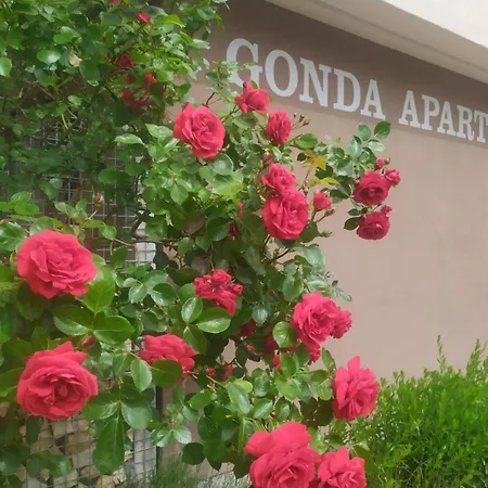 Gonda *