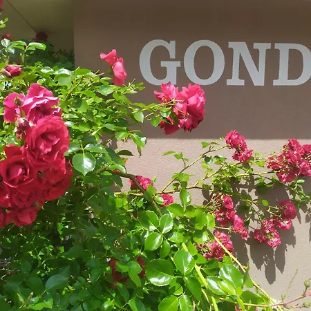 Gonda Appartement Hradec Králové